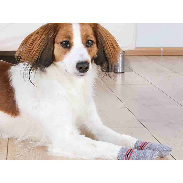 Socks Trixie Grey L/XL Dog