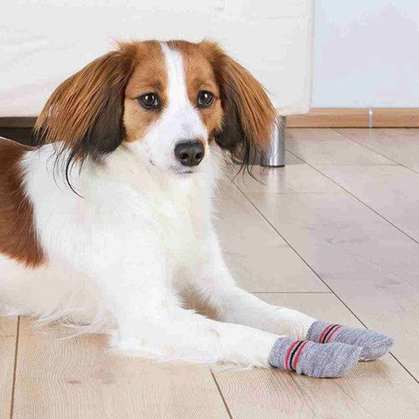 Socks Trixie Grey L/XL Dog