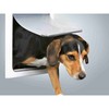 Cat Flap Trixie White Plastic 30 × 36 CM