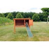 Portable ramp Trixie 20 × 50 CM