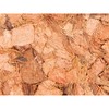 Substrate Trixie 4,5 L Coconut