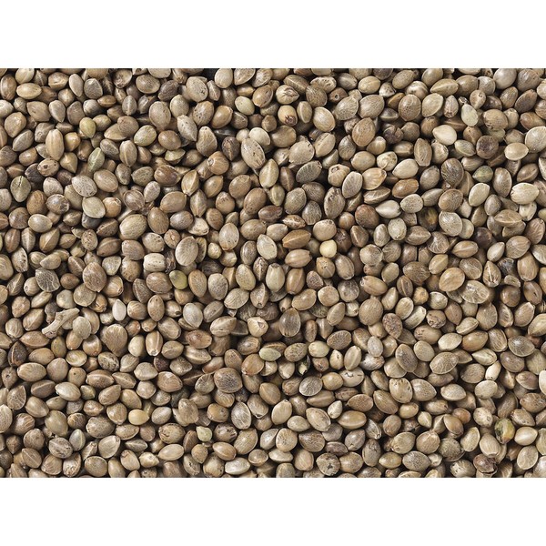 Putnu barība Deli Nature Premium