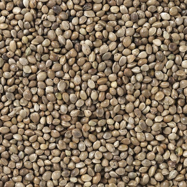Putnu barība Deli Nature Premium