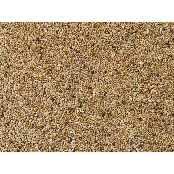 Linnunruoka Deli Nature Premium 1 kg