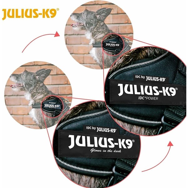 Упряжь для собак Julius K9 IDC Чёрный S