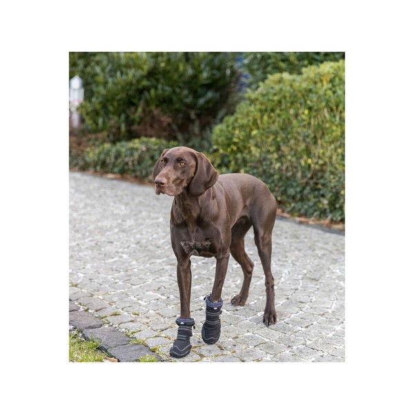 Leg protection walker Trixie Black S