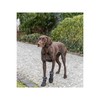 Leg protection walker Trixie Black S