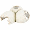 Oda ropliams Trixie Balta
