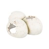 Oda ropliams Trixie Balta