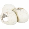 Cave for reptiles Trixie White