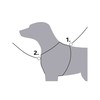 Dog Harness Trixie Premium Trekking Graphite Sand XL