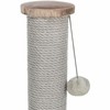 Kačių draskyklė Trixie Livia Rusva 64 cm