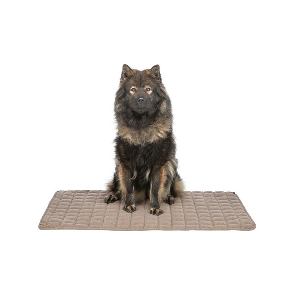 Airbed Trixie Brown 80 × 60 cm Dog