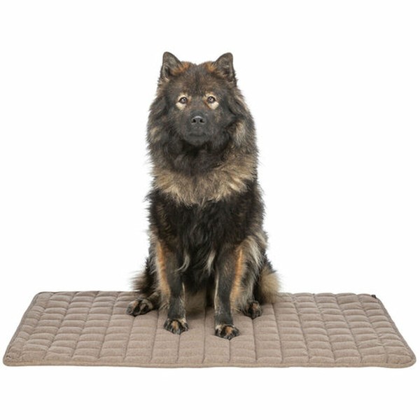 Airbed Trixie Brown 80 × 60 cm Dog
