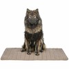 Airbed Trixie Brown 80 × 60 cm Dog