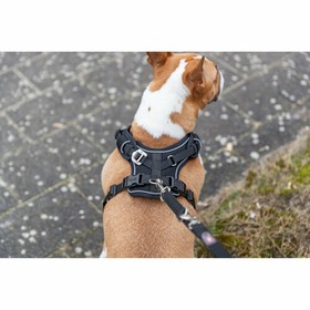 Dog Harness Trixie Premium FlexMesh Black L