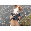 Dog Harness Trixie Premium FlexMesh Black L