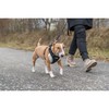 Dog Harness Trixie Premium FlexMesh Black L