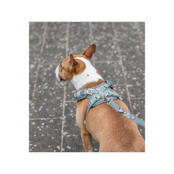Dog Harness Trixie Premium FlexMesh S-M