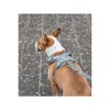 Dog Harness Trixie Premium FlexMesh S-M