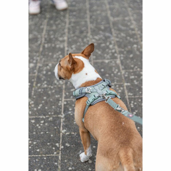Dog Harness Trixie Premium FlexMesh S-M