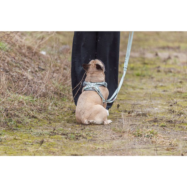 Dog Harness Trixie Premium FlexMesh S-M