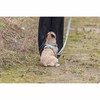 Dog Harness Trixie Premium FlexMesh S-M