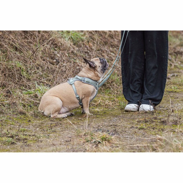 Dog Harness Trixie Premium FlexMesh S-M