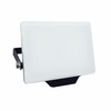 Floodlight/Projector Light Silver Electronics 173302 Black G 20 W (Cool White)