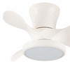 Ceiling Fan CristalRecord MOLL RETRAC Transparent 20 W