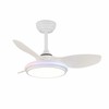 Lubinis ventiliatorius CristalRecord STEL EVO MINI RGB RETRAC Skaidrus