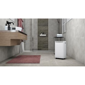Dehumidifier Olimpia Splendid 02063