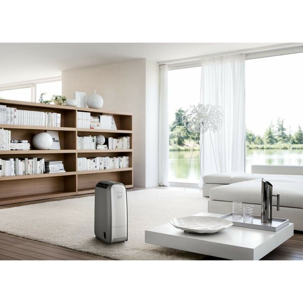 Осушитель воздуха DeLonghi DNS 80