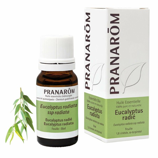 Ēteriskā Eļļa Pranarôm   10 ml Eikalipts
