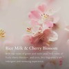 Air Freshener Rituals THE RITUAL OF SAKURA 500 ml