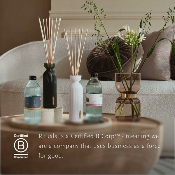 Ilmanraikastin Rituals THE RITUAL OF JING 500 ml