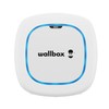 Maitinimo kištukas Wallbox