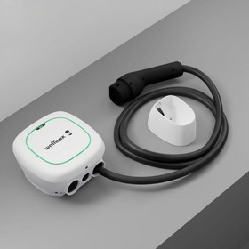 Maitinimo kištukas Wallbox