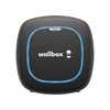 Maitinimo kištukas Wallbox
