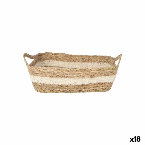 Uzglabāšanas Kaste Privilege pīts 20 x 15 x 7 cm (18 gb.)