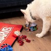 Suņu barotava Marvel Melamīna 760 ml