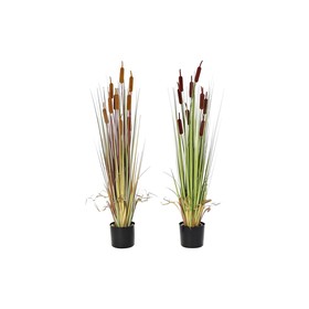 Dekoratīvs Augs DKD Home Decor Polietilēns Zaļš Bordo PVC 40 x 40 x 120 cm Sinepes (2 gb.)