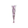 Ķekars DKD Home Decor Rozā Ceriņš Balts Kaltēts zieds (30 x 30 x 100 cm) (2 gb.)