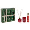 Aromātiskie Kociņi DKD Home Decor (2 gb.)