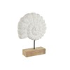 Dekoratīvās figūriņas Home ESPRIT Balts Dabisks Vidusjūra Gliemežvāks 29 x 7,5 x 38,5 cm