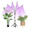 Lamp 20 LED 4pcs for plant growth Gardlov 19388