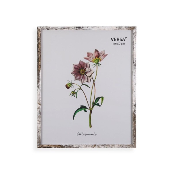 Photo frame Versa MDF Wood Vintage
