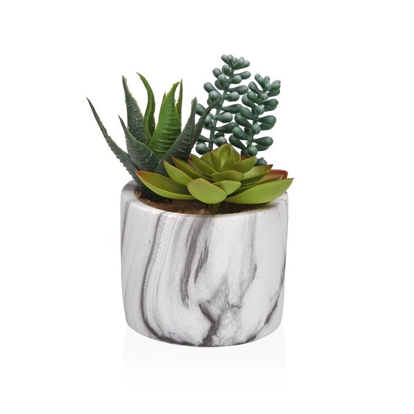 Dekoratīvs Augs Versa Keramika Plastmasa Fusion Sukulents 9 x 15 x 9 cm