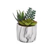 Декоративное растение Versa Керамика Пластик Fusion сочный 9 x 15 x 9 cm
