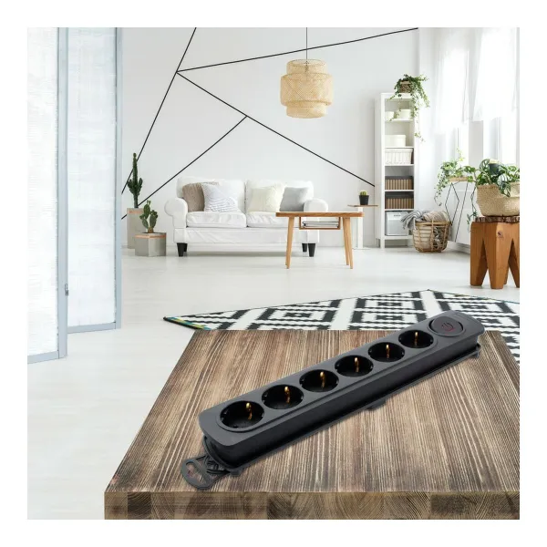 Pistikupesa - 6 Pistikupesa Lülitiga TM Electron 250 V